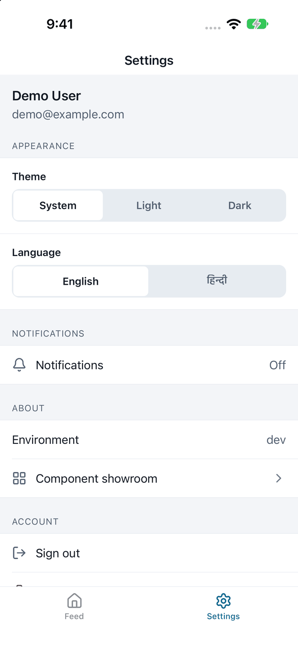 Settings on iOS: theme, language, notifications and account